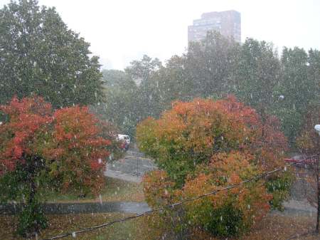 Snow!