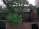 DSCN0074.JPG