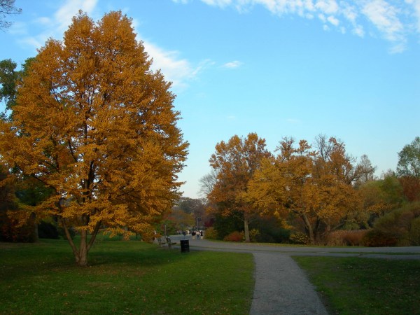DSCN3221.JPG