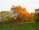 DSCN3235.JPG