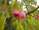 DSCN3237.JPG
