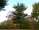 DSCN3245.JPG