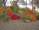 DSCN3269.JPG