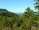 DSCN1210.JPG